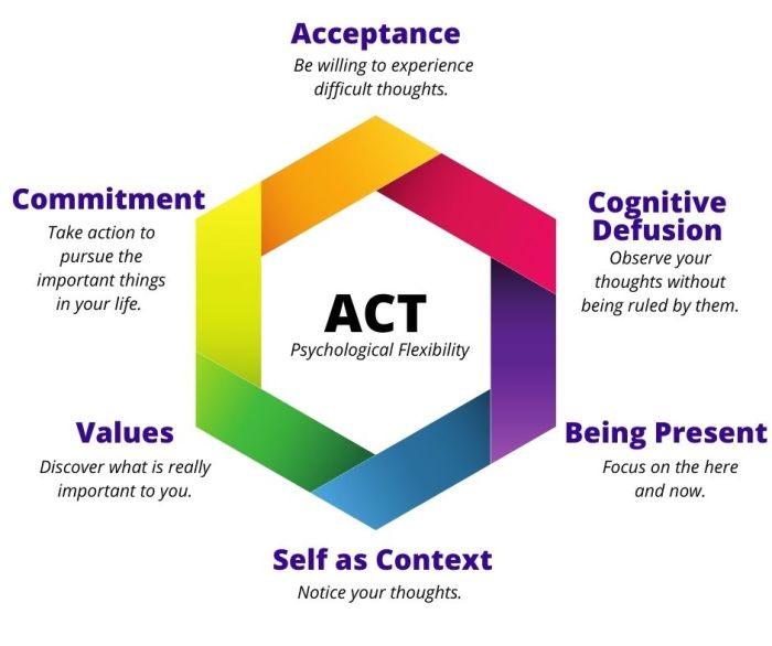 Acceptance and commitment therapy hexaflex