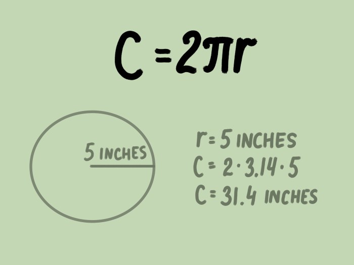 Area and circumference formulas worksheet