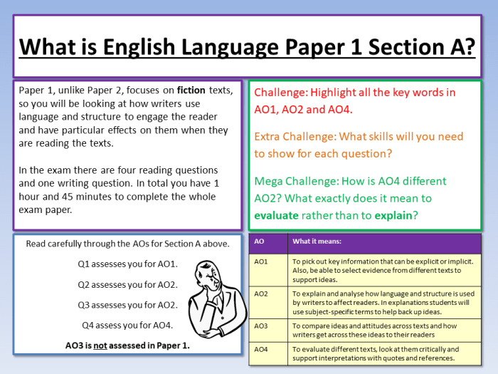 Aice english language paper 1 examples