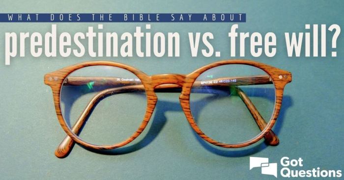 Can predestination and free will coexist