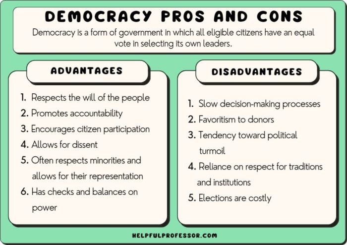 Advantages and disadvantages of a representative democracy