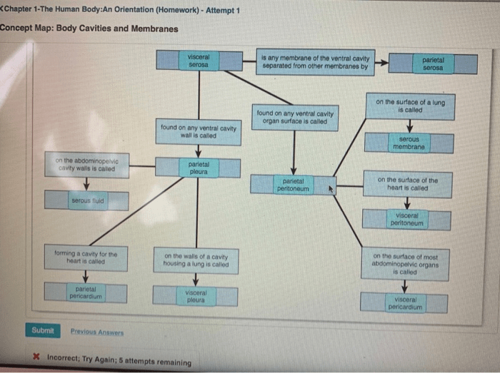 The human body orientation worksheet answers